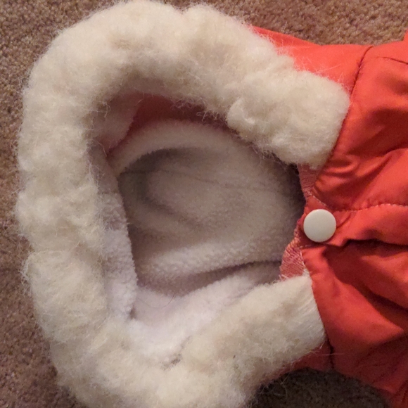 ❤️ Loveable Dog Hooded Jacket Small FANCY PUNK - Picture 4 of 9